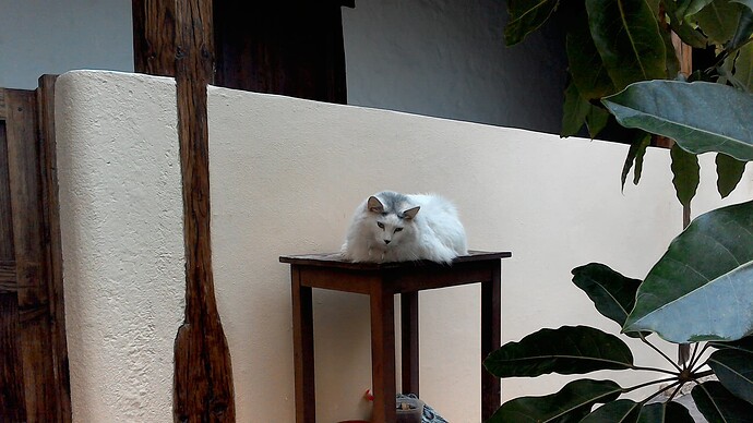 Blanco2